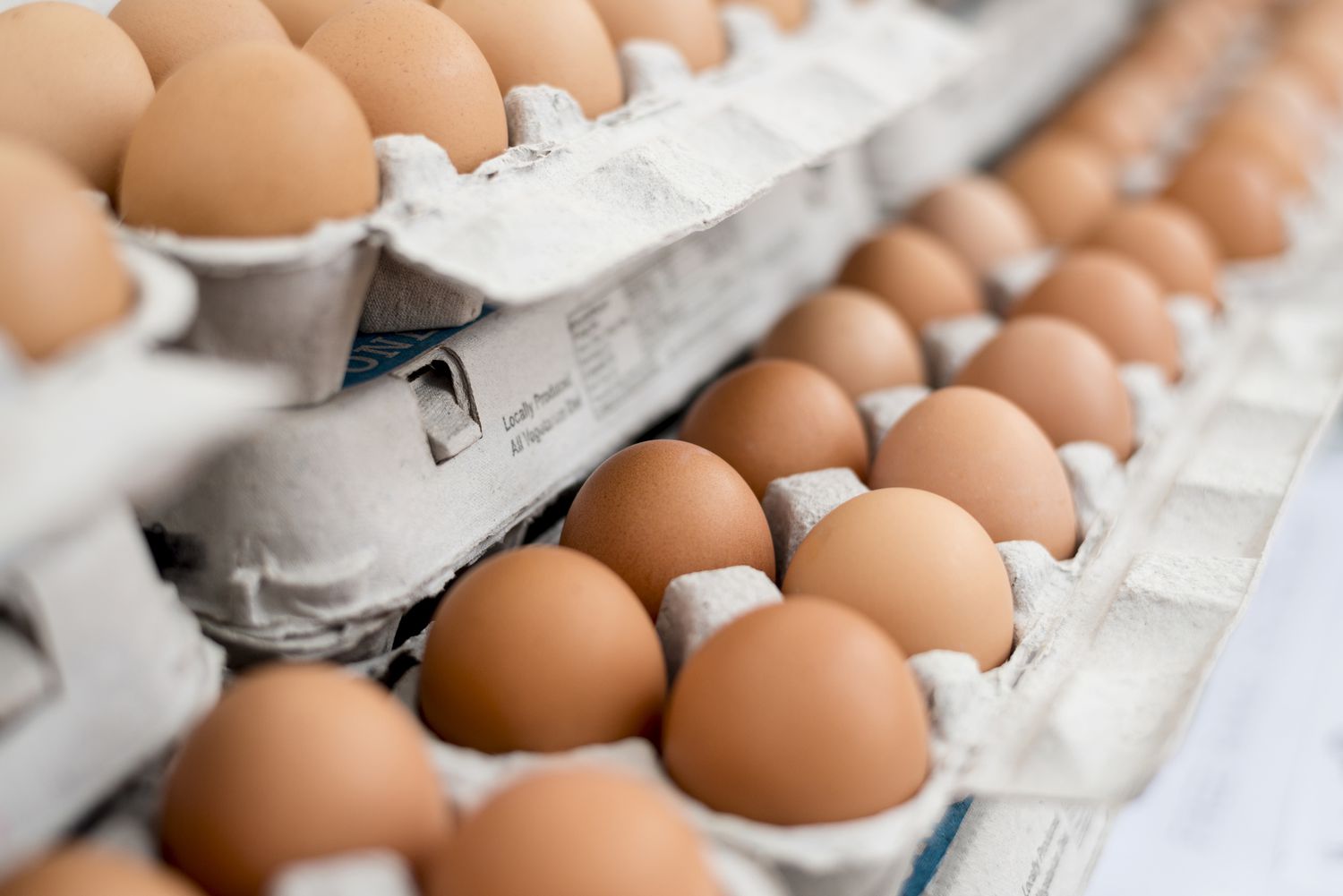 Are Egg Cartons Recyclable?