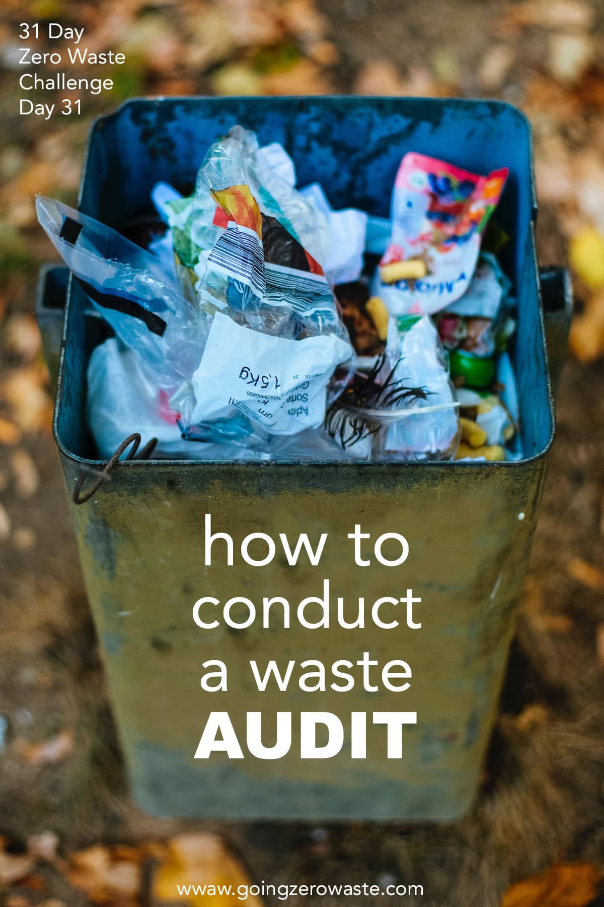 The right way to Carry out a Trash Audit – Day 31 of the Zero Waste Problem