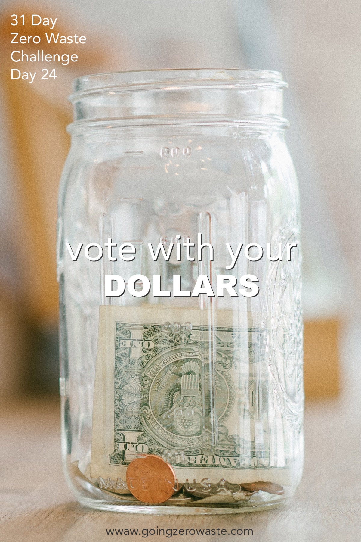 Vote With Your {Dollars} – Day 24 of the Zero Waste Problem