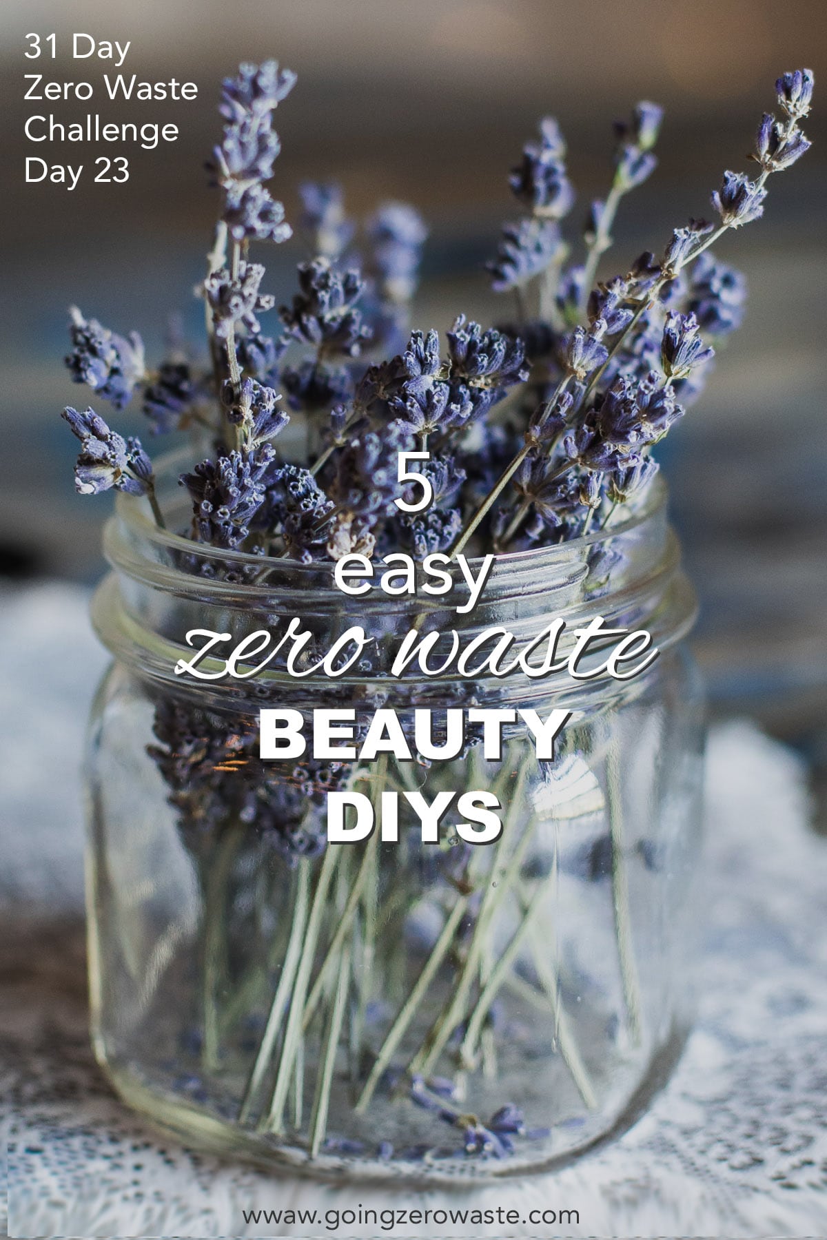 5 Straightforward Magnificence DIYs – Day 23 of the Zero Waste Problem