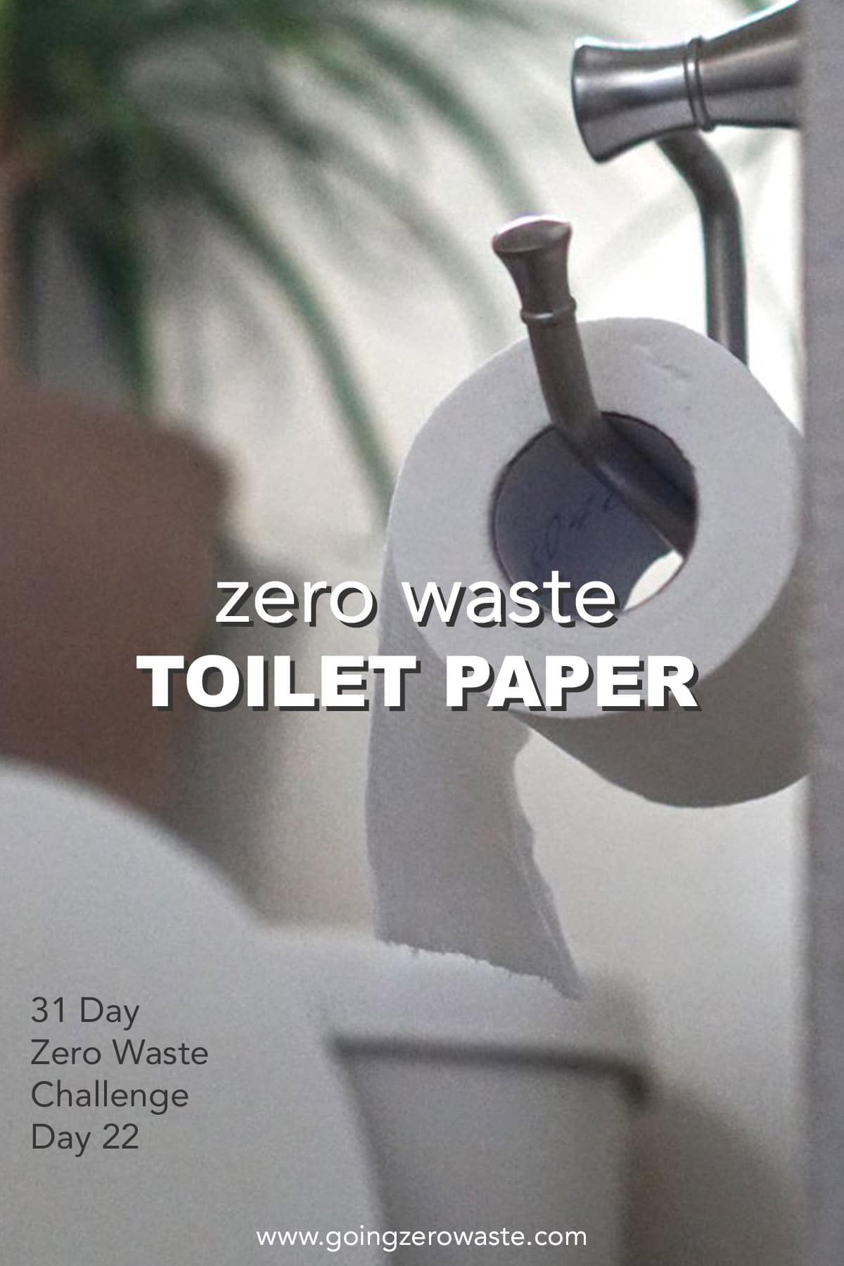 Zero Waste Lavatory Paper – Day 22 of the Zero Waste Drawback