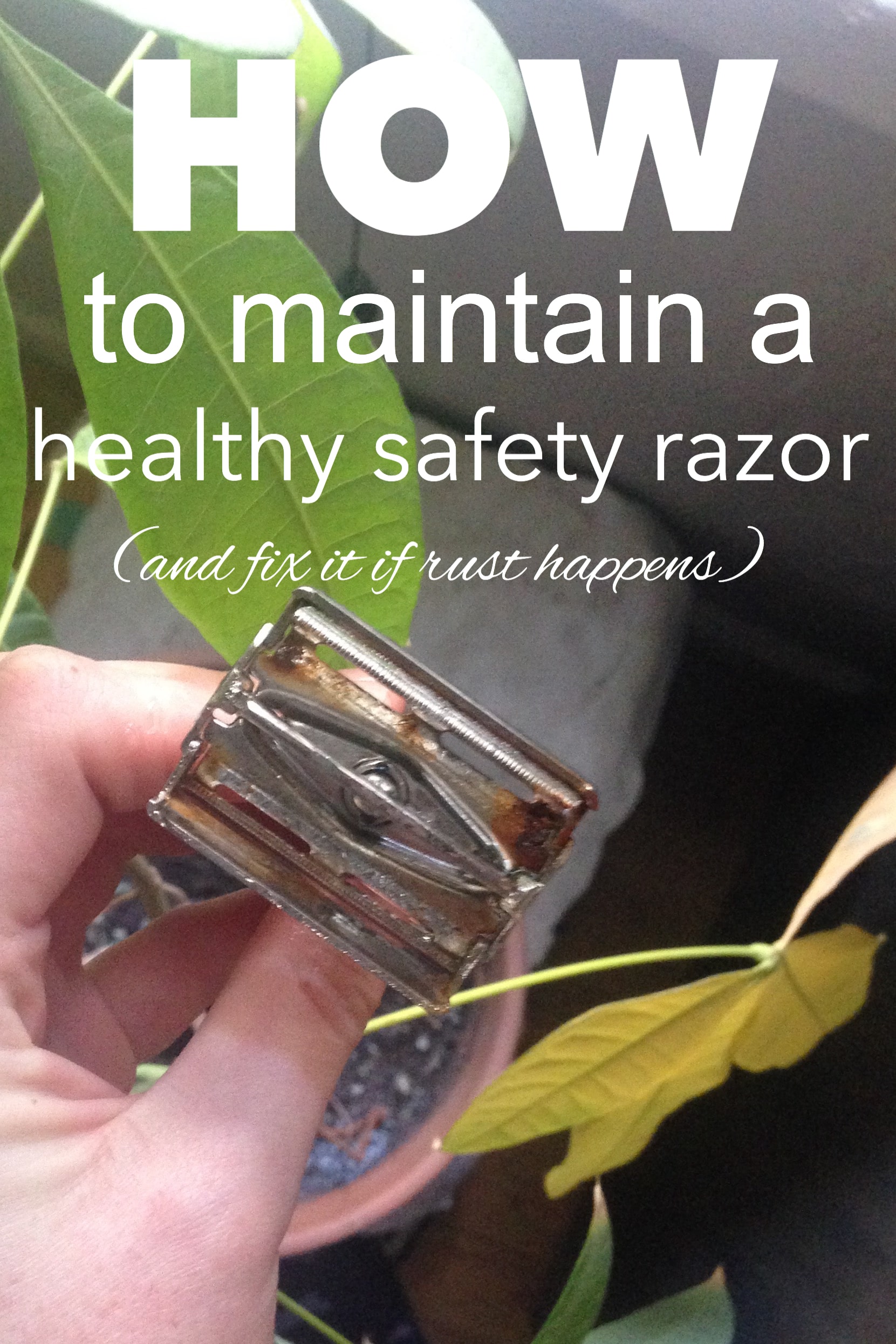 How one can Stop a Rusty Razor: Security Razor Care