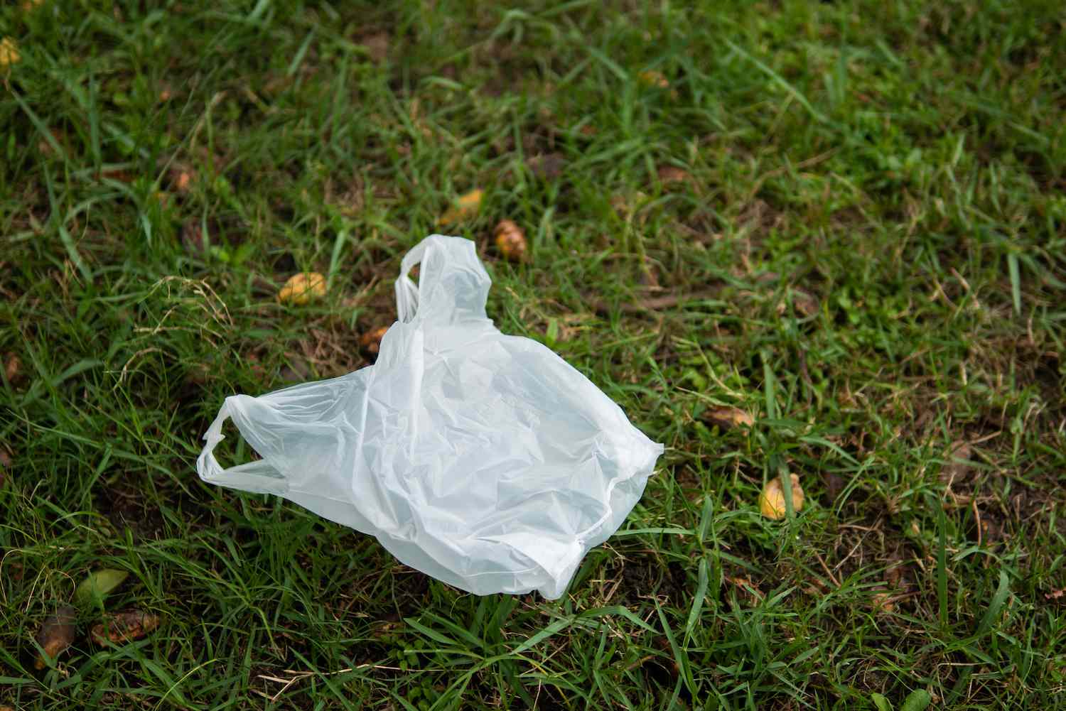 Ought to Cities Throw Away Plastic Bag Bans? It is Sophisticated